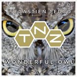 Artwork voor "Wonderful Owl"