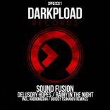 Artwork for "Delusory Hopes / Rainy in the Night"