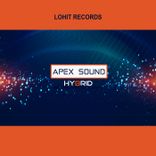 Artwork for "Hybrid"