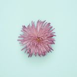 Artwork für "Track for Tomorrow"