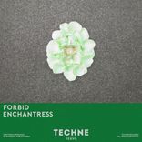 Artwork for "Enchantress"