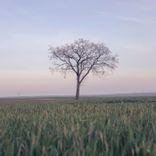 Artwork voor "Monday"