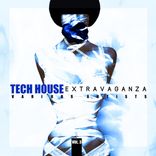Artwork for "Tech House Extravaganza, Vol. 3"