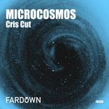 Artwork for "Microcosmos"