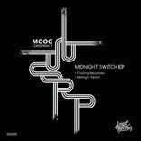 Artwork for "Midnight Switch EP"