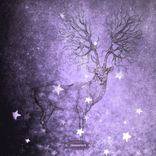 Artwork for "Xmas Melodic Progressive & Melodic House Gems 2025"