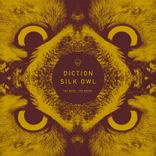 Artwork for "Silk Owl"