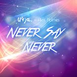 Artwork voor "Never Say Never"