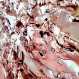 Artwork for "Believe In Elements"