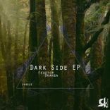 Artwork for "Dark Side"