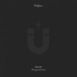 Artwork for "Magnetism"
