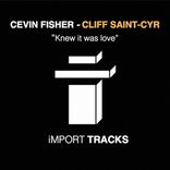 Artwork for "Knew It Was Love"