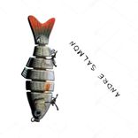 Artwork für "Andre Salmon"