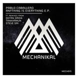 Artwork for "Anything is Everything"