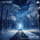 Solace In A Snowstorm