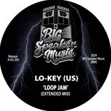 Artwork voor "Loop Jam"
