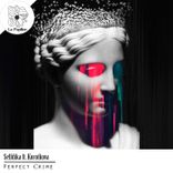 Artwork for "Perfect Crime"