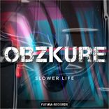 Artwork for "Slower Life"