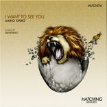 Artwork for "I Want to See You"