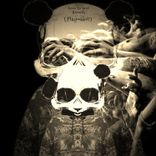 Artwork voor "Playmaker"