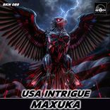 Portada para "USA Intrigue"