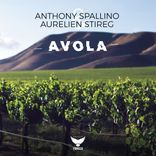 Artwork for "Avola"