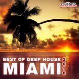 Artwork voor "Miami 2016: Best Of Deep House"