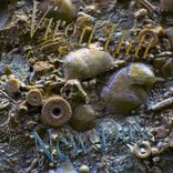 Artwork for "New Day"