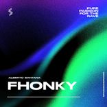 Artwork for "Fhonky"