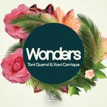Artwork for "Wonders"
