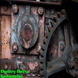 Portada para "Industrial"