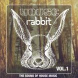Artwork for "House Rabbit, Vol. 1"