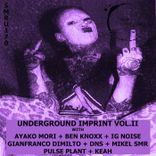 Artwork for "Underground Imprint Vol.II"