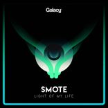 Artwork voor "Light Of My Life"