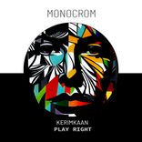 Artwork voor "Play Right"