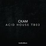 Artwork voor "Acid House TB03"