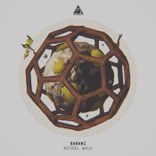 Artwork für "Astral Walk"