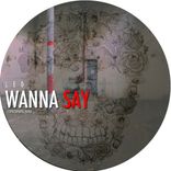 Artwork for "Wanna Say"
