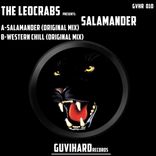 Artwork for "Salamander"