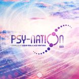 Artwork for "Psy-Nation, Vol. 001"