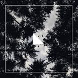 Portada para "Compilation V"