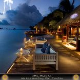 Artwork for "No Accounting for Tastes"