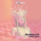 Artwork voor "Muchacha Loca"