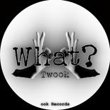 Artwork for "What?"