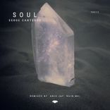 Artwork for "Soul"