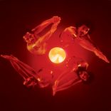 Portada para "Hidden Stash"