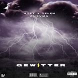 Portada para "Gewitter"