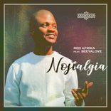 Artwork for "Nostalgia"