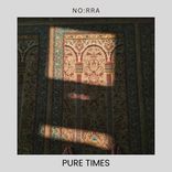 Artwork for "Pure Times"