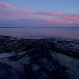 Artwork für "Illusory Motion"